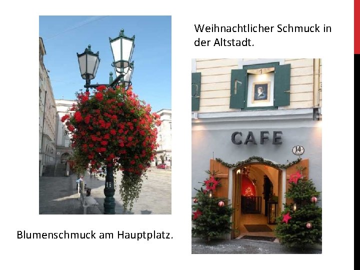 Weihnachtlicher Schmuck in der Altstadt. Blumenschmuck am Hauptplatz. 