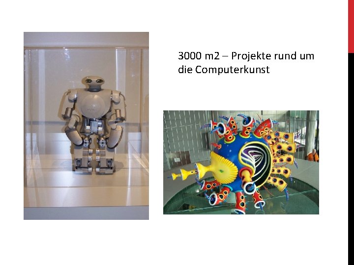 3000 m 2 – Projekte rund um die Computerkunst 