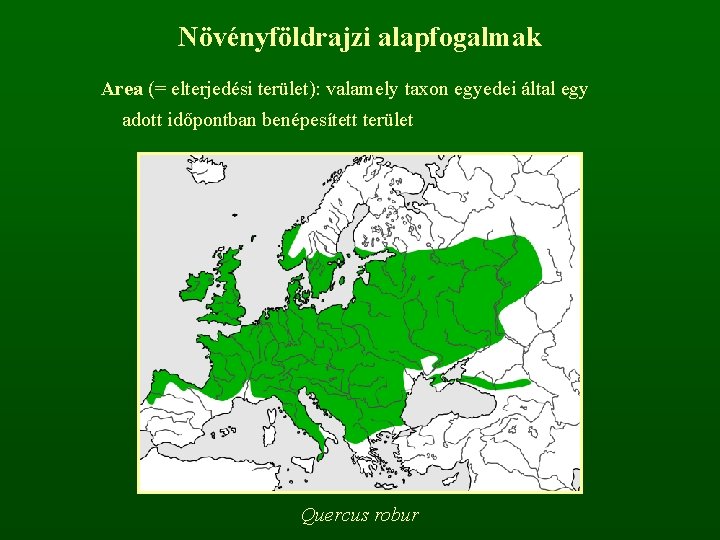 Növényföldrajzi alapfogalmak Area (= elterjedési terület): valamely taxon egyedei által egy adott időpontban benépesített