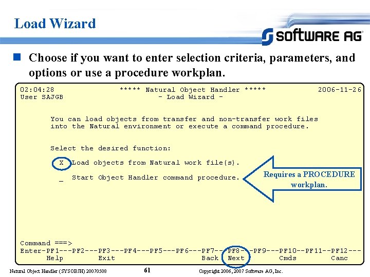 Load Wizard n Choose if you want to enter selection criteria, parameters, and options
