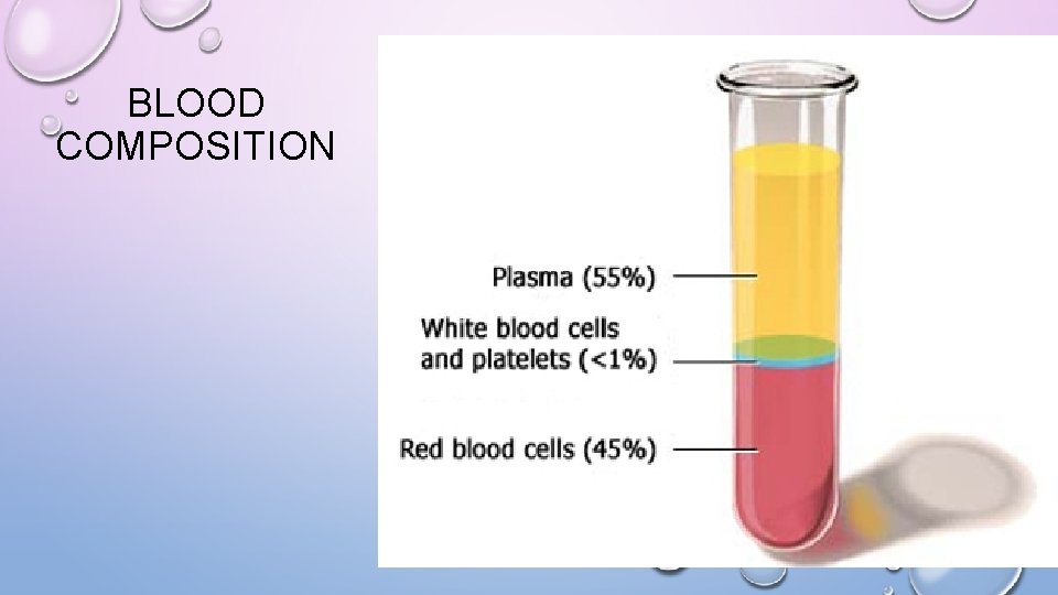 BLOOD COMPOSITION 