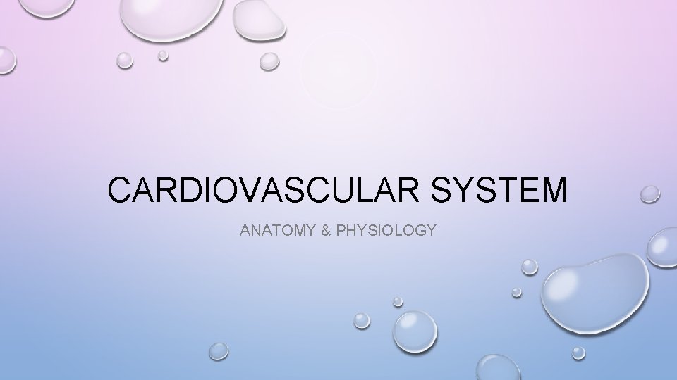 CARDIOVASCULAR SYSTEM ANATOMY & PHYSIOLOGY 
