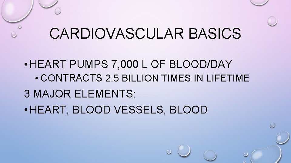 CARDIOVASCULAR BASICS • HEART PUMPS 7, 000 L OF BLOOD/DAY • CONTRACTS 2. 5