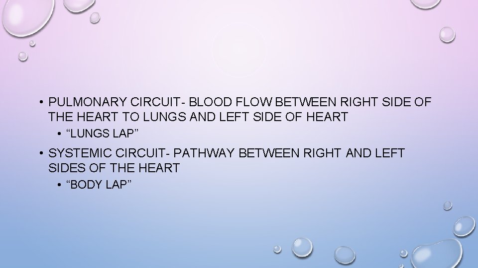  • PULMONARY CIRCUIT- BLOOD FLOW BETWEEN RIGHT SIDE OF THE HEART TO LUNGS