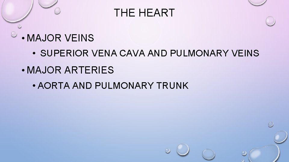 THE HEART • MAJOR VEINS • SUPERIOR VENA CAVA AND PULMONARY VEINS • MAJOR