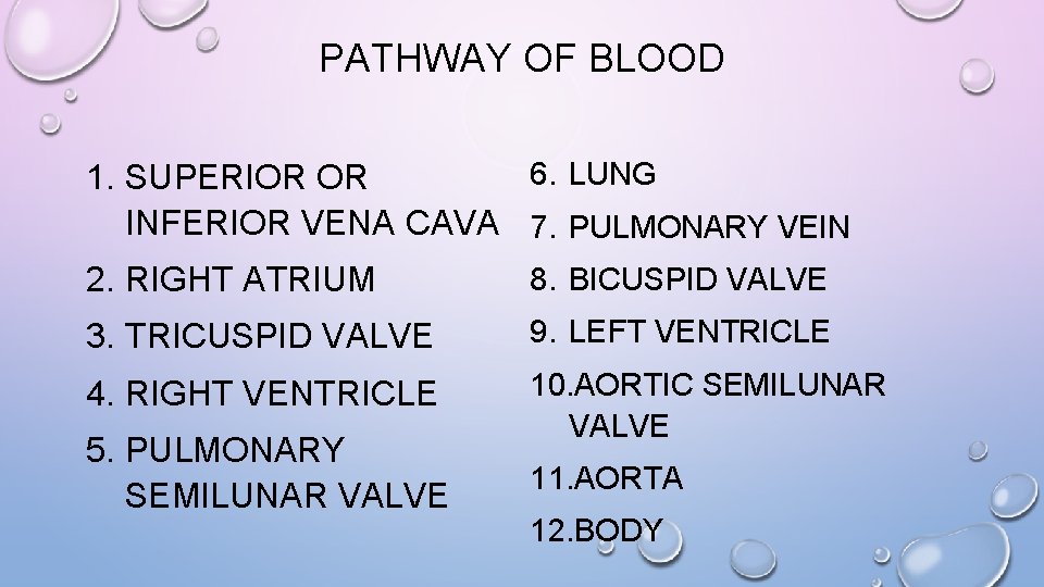 PATHWAY OF BLOOD 6. LUNG 1. SUPERIOR OR INFERIOR VENA CAVA 7. PULMONARY VEIN