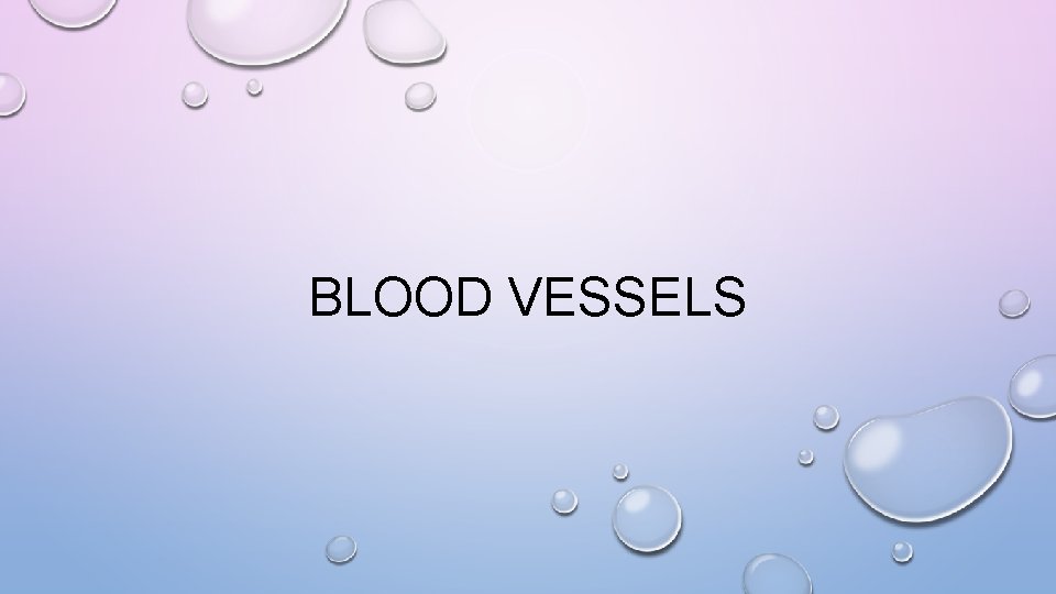 BLOOD VESSELS 