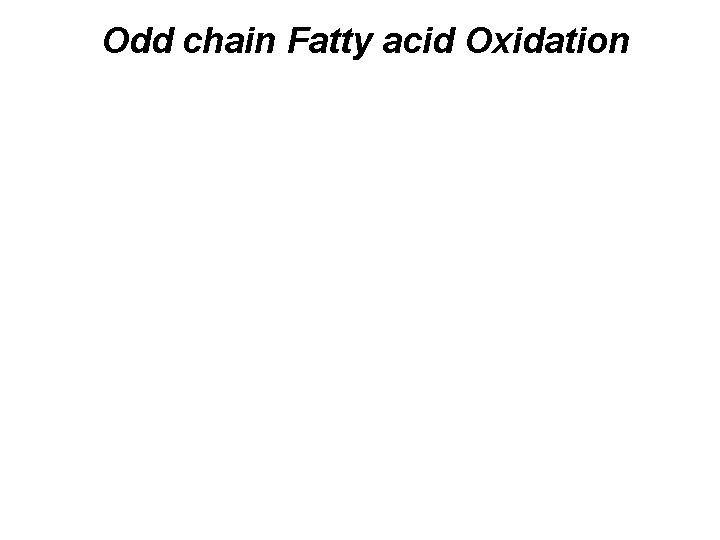 Odd chain Fatty acid Oxidation 