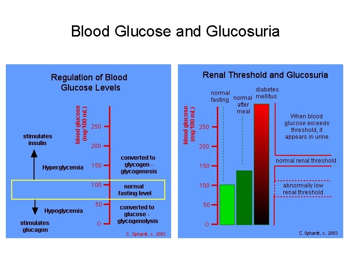 Blood Glucose and Glucosuria 