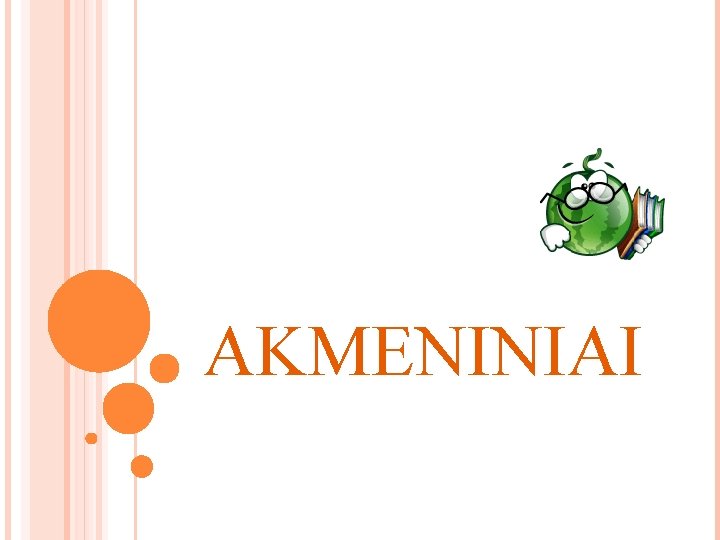 AKMENINIAI 