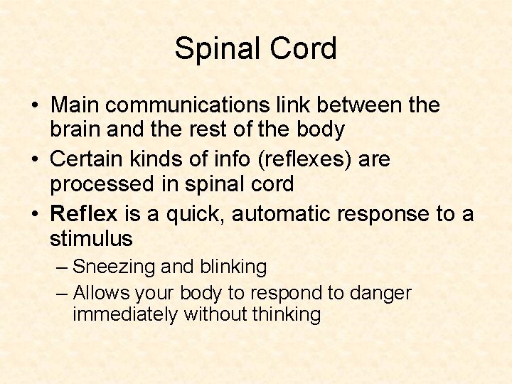 Spinal Cord • Main communications link between the brain and the rest of the