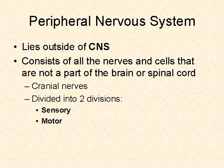 Peripheral Nervous System • Lies outside of CNS • Consists of all the nerves