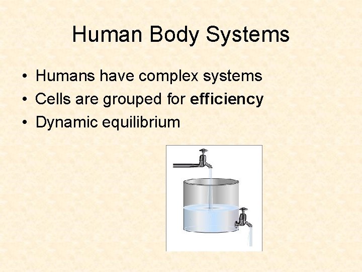 Human Body Systems • Humans have complex systems • Cells are grouped for efficiency