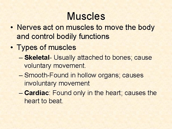 Muscles • Nerves act on muscles to move the body and control bodily functions