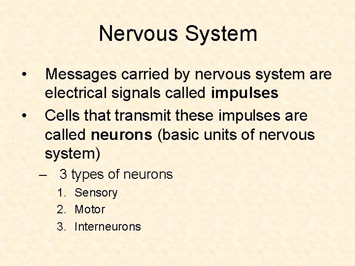 Nervous System • • Messages carried by nervous system are electrical signals called impulses