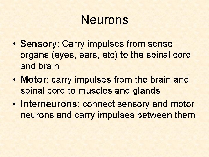 Neurons • Sensory: Carry impulses from sense organs (eyes, ears, etc) to the spinal