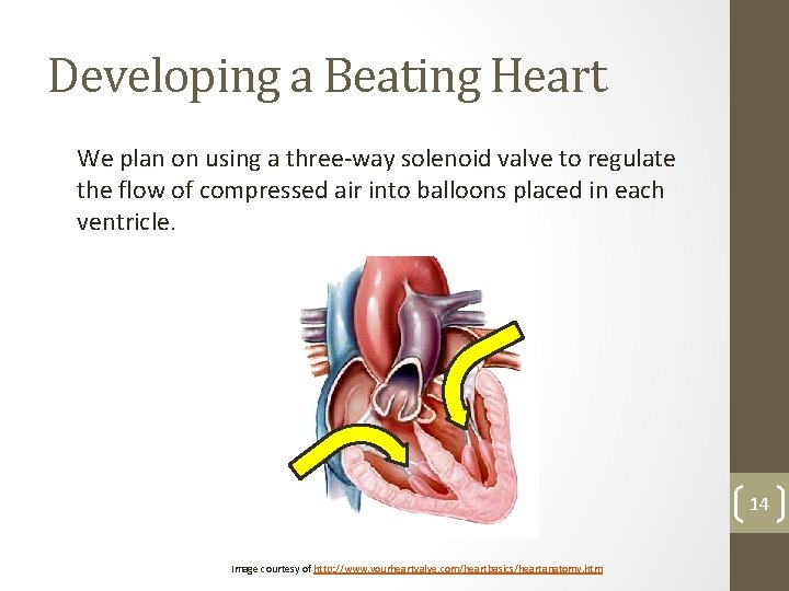 Developing a Beating Heart We plan on using a three-way solenoid valve to regulate