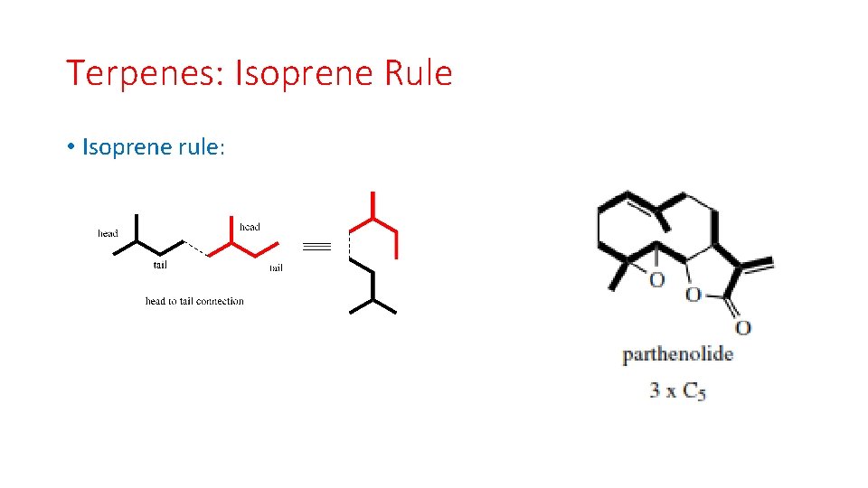 Terpenes: Isoprene Rule • Isoprene rule: 