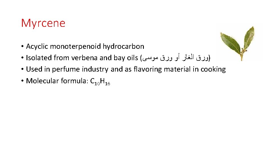 Myrcene • Acyclic monoterpenoid hydrocarbon • Isolated from verbena and bay oils ( )ﻭﺭﻕ