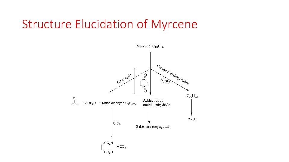 Structure Elucidation of Myrcene 