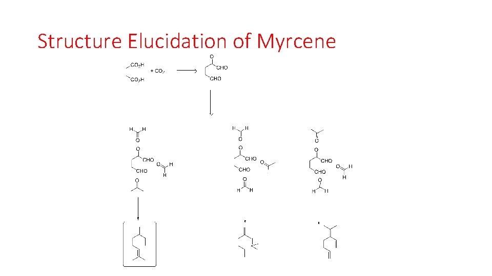 Structure Elucidation of Myrcene 