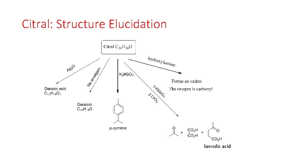 Citral: Structure Elucidation laevulic acid 