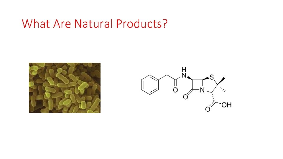 What Are Natural Products? 