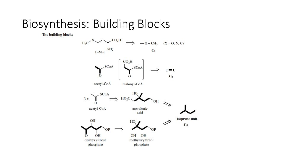 Biosynthesis: Building Blocks 