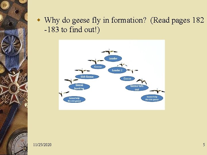 w Why do geese fly in formation? (Read pages 182 -183 to find out!)