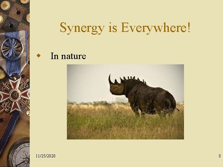 Synergy is Everywhere! w In nature 11/25/2020 8 