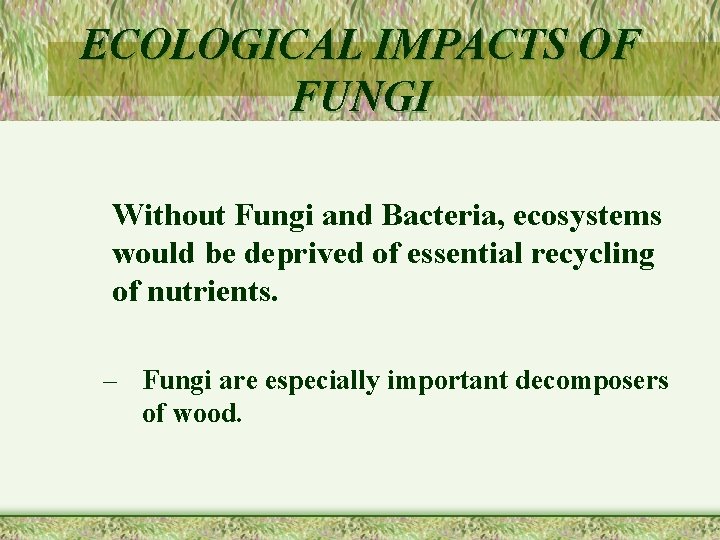 ECOLOGICAL IMPACTS OF FUNGI Without Fungi and Bacteria, ecosystems would be deprived of essential