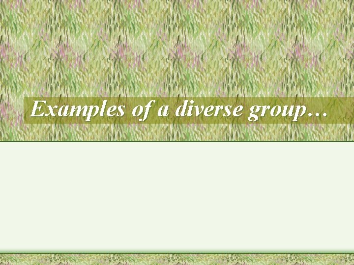 Examples of a diverse group… 