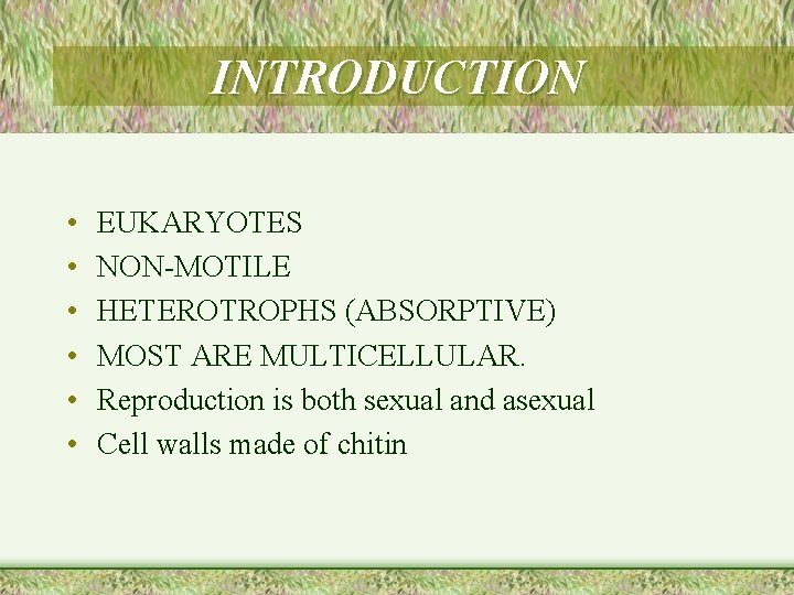 INTRODUCTION • • • EUKARYOTES NON-MOTILE HETEROTROPHS (ABSORPTIVE) MOST ARE MULTICELLULAR. Reproduction is both