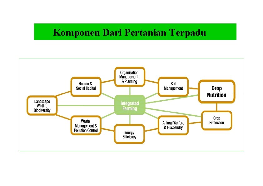 Komponen Dari Pertanian Terpadu 