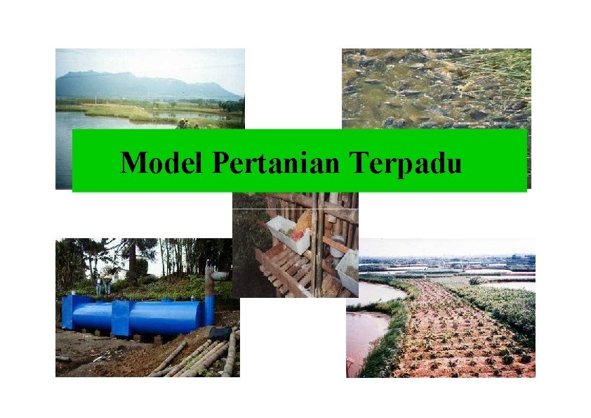 Model Pertanian Terpadu 