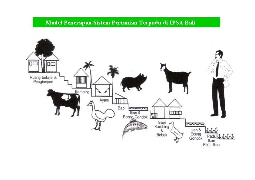 Model Penerapan Sistem Pertanian Terpadu di IPSA Bali 