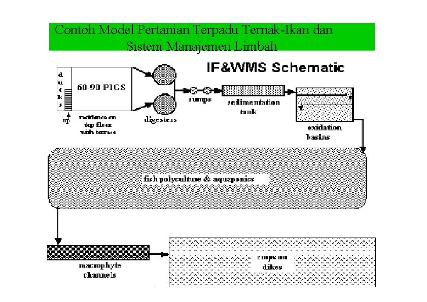 Contoh Model Pertanian Terpadu Ternak-Ikan dan Sistem Manajemen Limbah 
