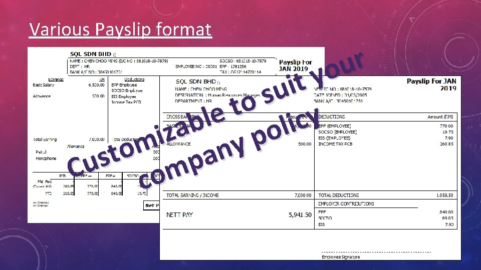 Various Payslip format r u o y t i u s o t e