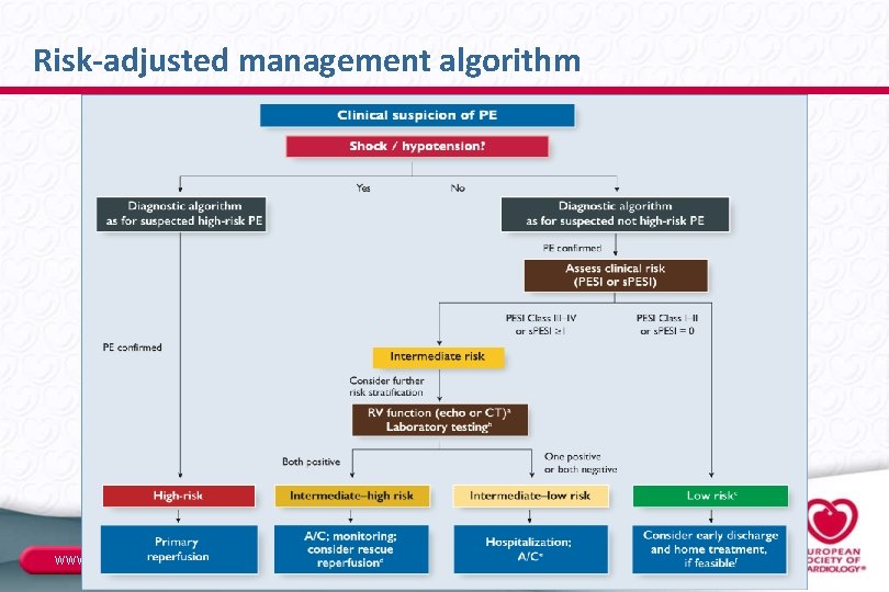 Risk-adjusted management algorithm www. escardio. org/guidelines European Heart Journal (2014): doi: 10. 1093/eurheartj/ehu 283