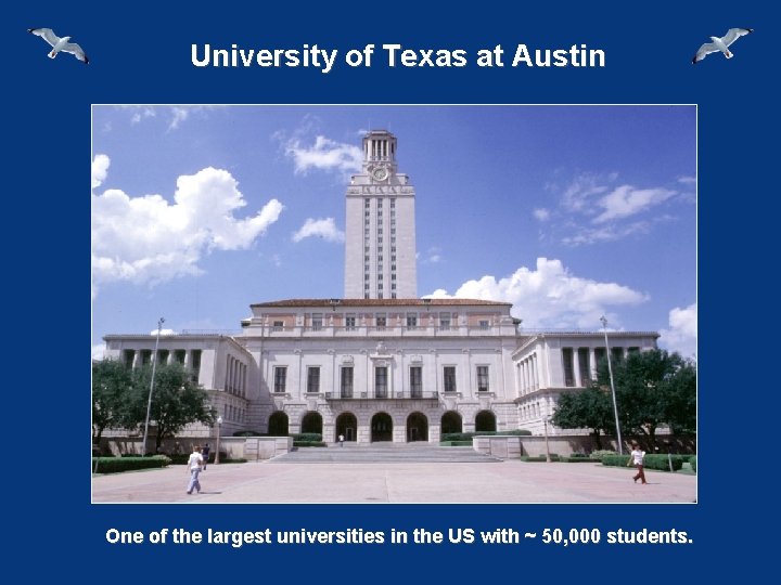 University of Texas at Austin One of the largest universities in the US with