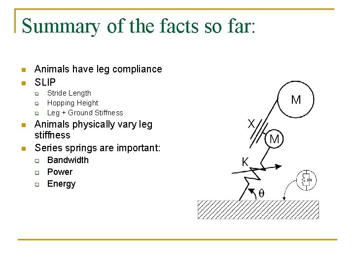 Summary of the facts so far: n n Animals have leg compliance SLIP q