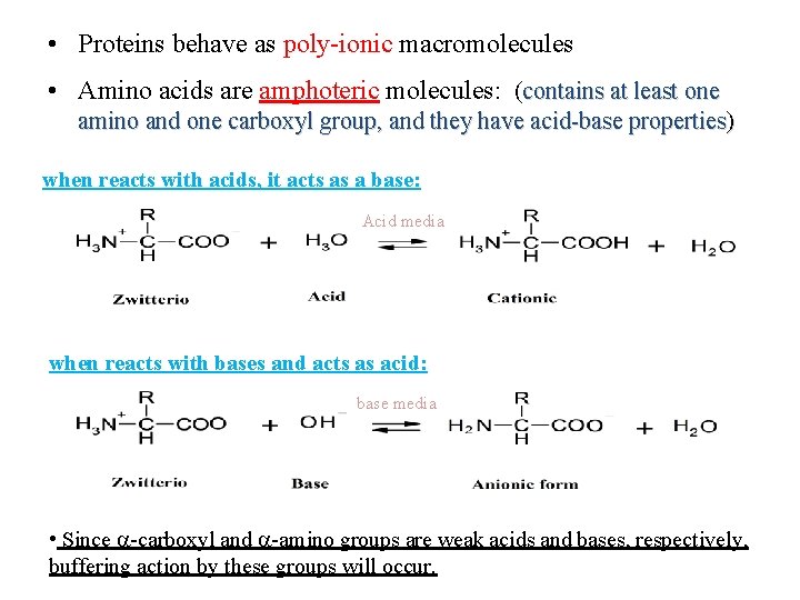  • Proteins behave as poly-ionic macromolecules • Amino acids are amphoteric molecules: (contains