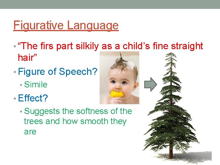 Figurative Language • “The firs part silkily as a child’s fine straight hair” •