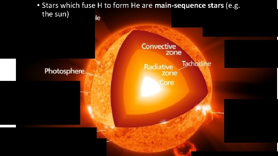  • Stars which fuse H to form He are main-sequence stars (e. g.