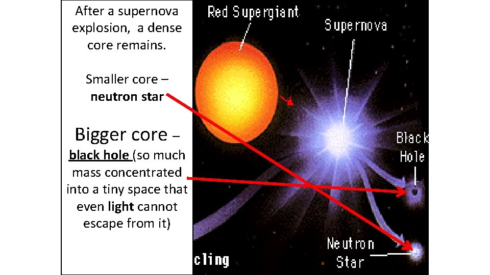 After a supernova explosion, a dense core remains. Smaller core – neutron star Bigger