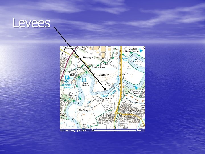 Levees 