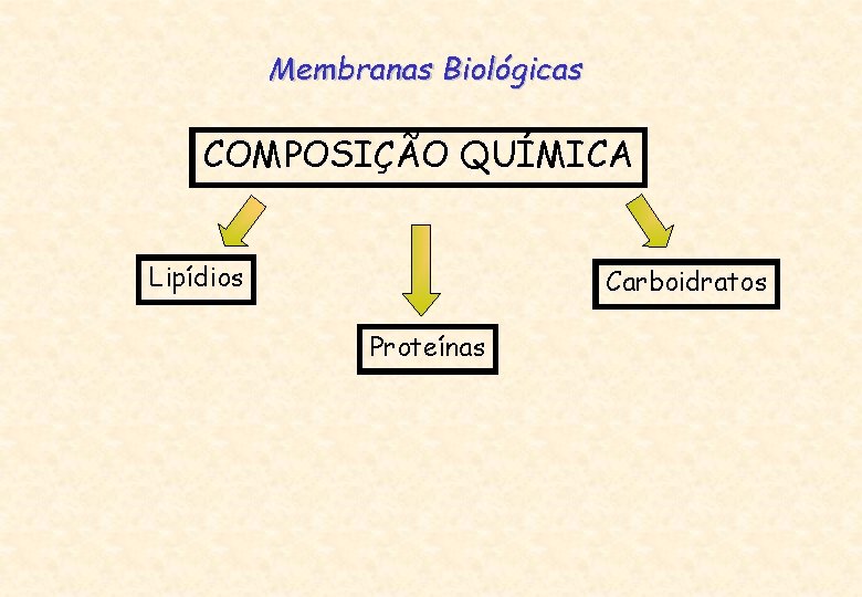 Membranas Biológicas COMPOSIÇÃO QUÍMICA Lipídios Carboidratos Proteínas 