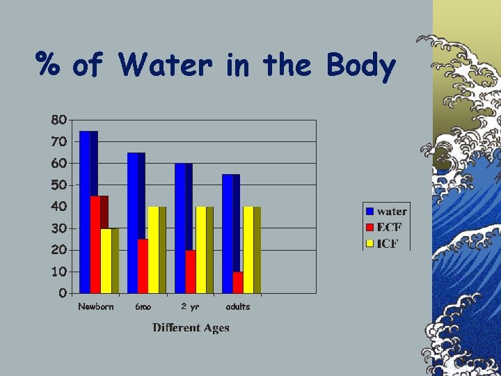 % of Water in the Body 