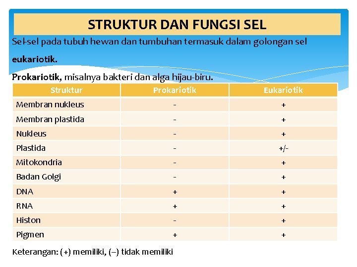 STRUKTUR DAN FUNGSI SEL Sel-sel pada tubuh hewan dan tumbuhan termasuk dalam golongan sel