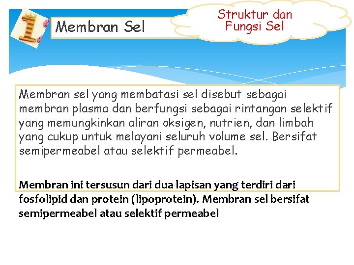 Membran Sel Struktur dan Fungsi Sel Membran sel yang membatasi sel disebut sebagai membran